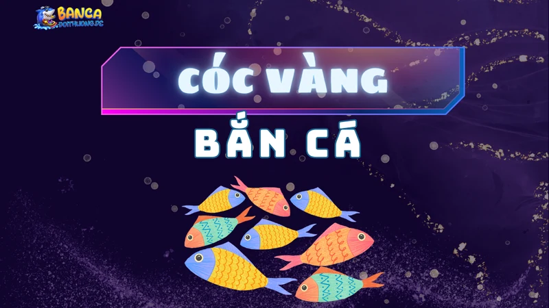 Cóc vàng bắn cá