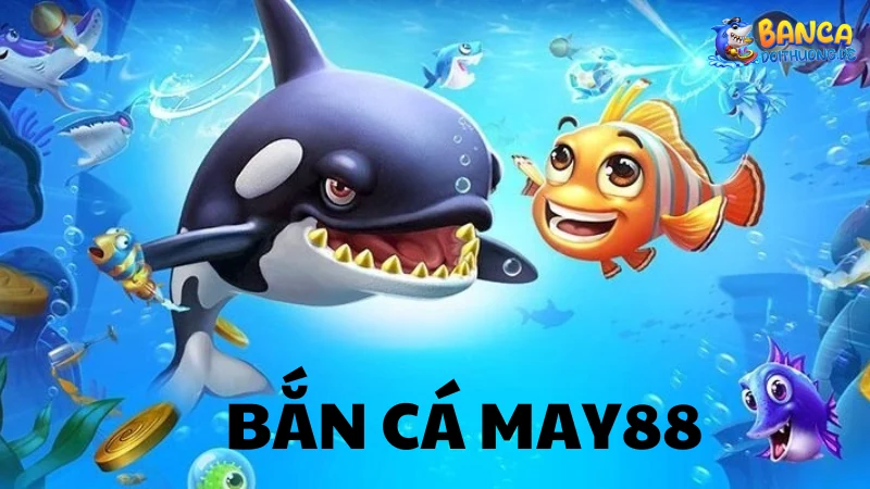 Bắn cá May88