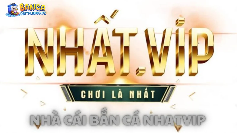 Hỗ trợ khách hàng tại Nhatvip
