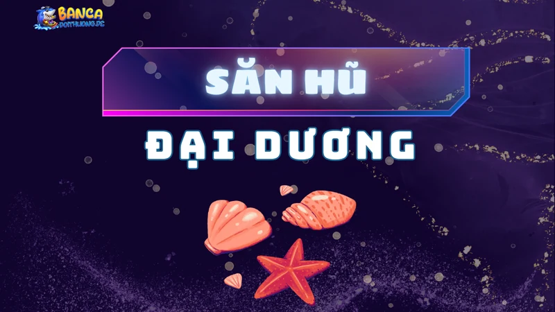 Săn hũ đại dương